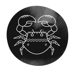 https://tiendastral.com/wp-content/uploads/2018/02/horoscope_dark_04.png
