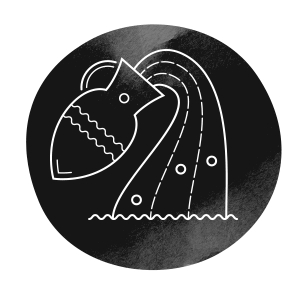 https://tiendastral.com/wp-content/uploads/2018/02/horoscope_dark_11.png