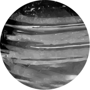 https://tiendastral.com/wp-content/uploads/2018/04/planet_04.png